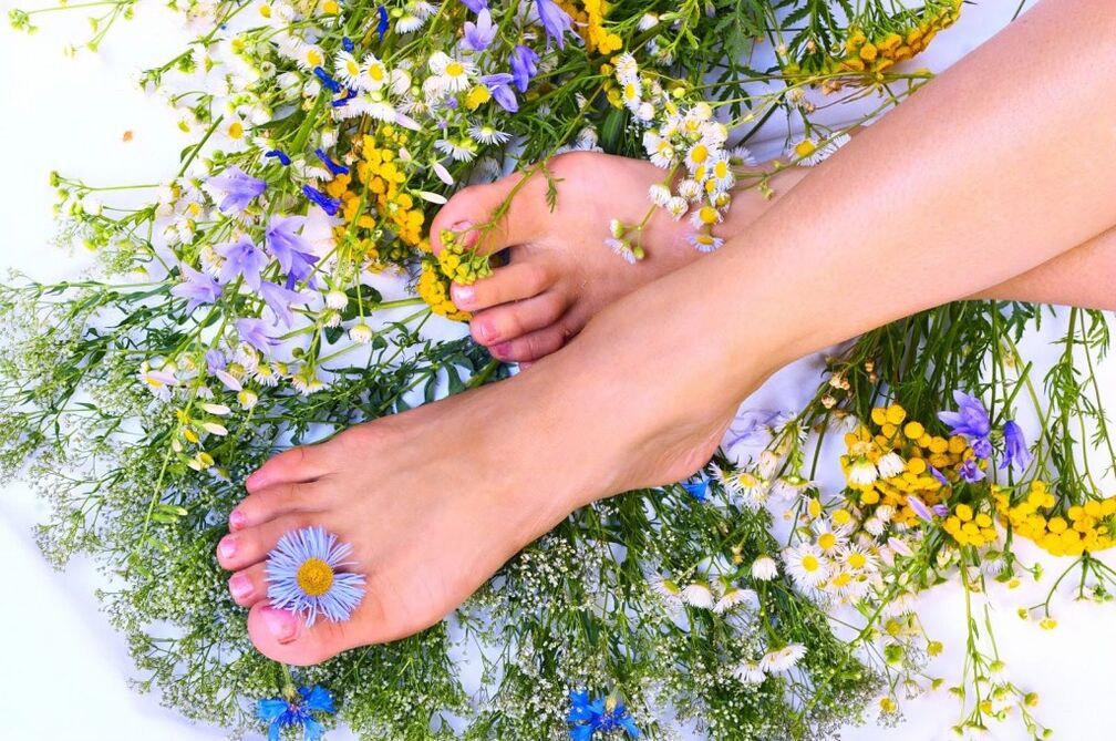 Herbas de varices
